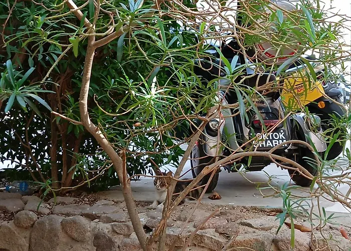 Casa Dodo - Sunny Lakes Compound شقة